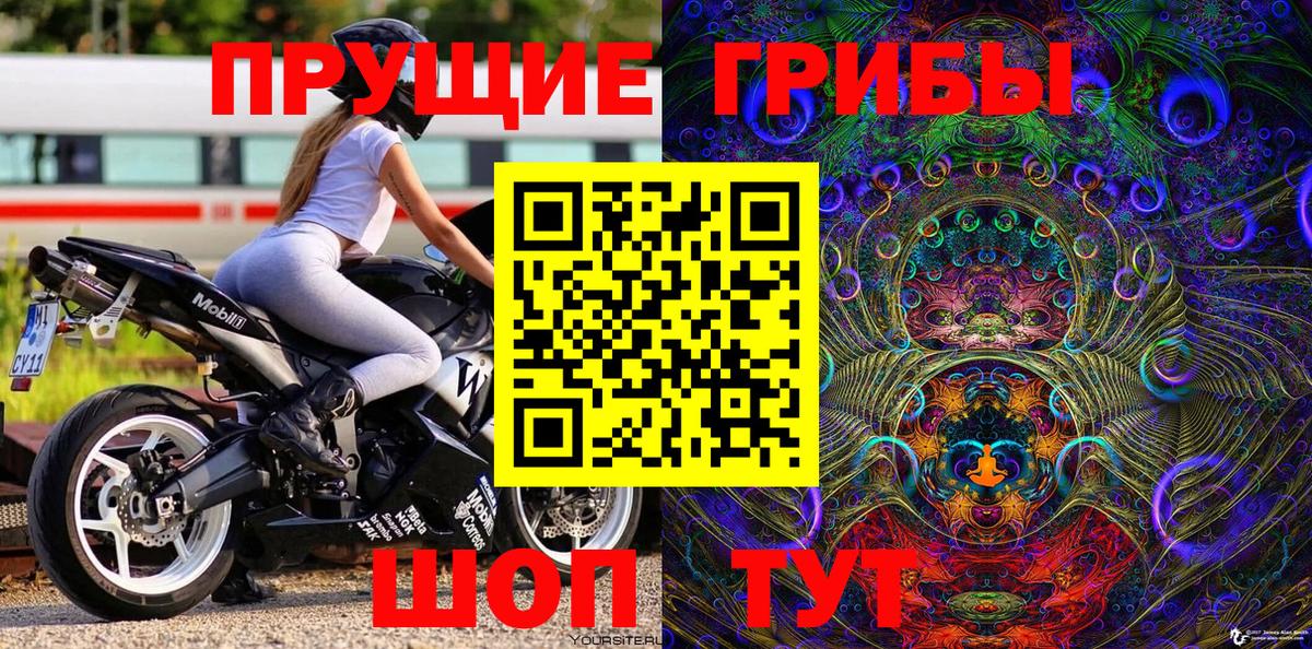 Галлюциногенные грибы Cubensis Бирск